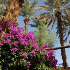 Отель Villa Zagora Ma Villa au Sahara Марокко, Загора - отзывы, цены и фото номеров - забронировать отель Villa Zagora Ma Villa au Sahara онлайн фото 10