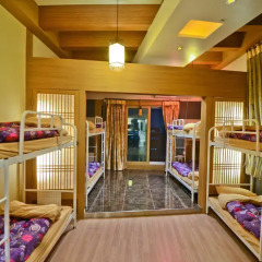 Отель Kimchee Gangnam Guesthouse Кровать в общем номере с двухъярусной кроватью