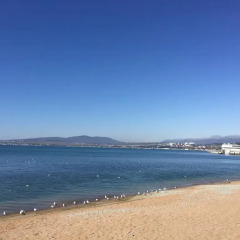 Gelendzhik Hotel 3* Люкс с различными типами кроватей