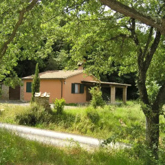 Отель Agriturismo Fattoria La Prugnola Монтескудаио фото 10
