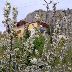 Aladag Dag Otel Турция, Buyukcakir - отзывы, цены и фото номеров - забронировать отель Aladag Dag Otel онлайн фото 4