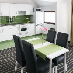 Rubin Wellness & Conference Hotel 4* Апартаменты с различными типами кроватей