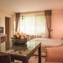 Hotel Toro Negro 3* Апартаменты с различными типами кроватей фото 6