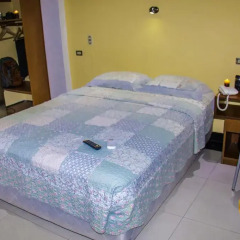 Ari's Hotel III 2* Номер Комфорт с различными типами кроватей фото 3