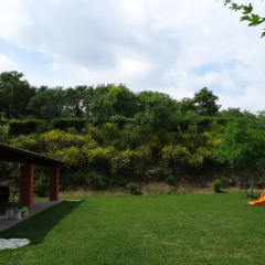Отель Agriturismo Alba Мазера-ди-Падова детские мероприятия