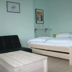 Hostel Old Lab Номер Делюкс с различными типами кроватей фото 4