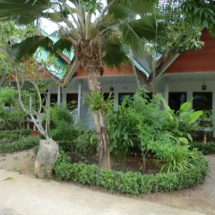 Отель The Krabi Forest Homestay 2* Стандартный номер с различными типами кроватей фото 16