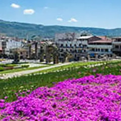 Отель Ephesus Selcuk Castle View Suites Сельчук фото 7