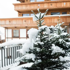 Отель ElisabethHotel Premium Private Retreat балкон