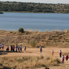 Отель Layos Hostel - Camp Испания, Лайос - отзывы, цены и фото номеров - забронировать отель Layos Hostel - Camp онлайн пляж