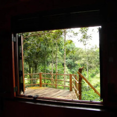 Отель Aelam Home Stay Cabana Номер Делюкс с различными типами кроватей фото 8