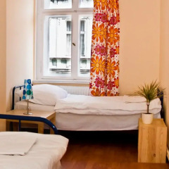 Frolic Goats Hostel Стандартный номер с 2 отдельными кроватями фото 4