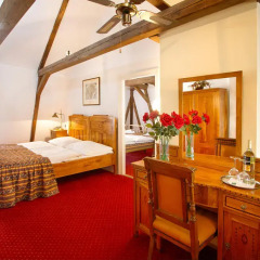 Hotel Waldstein 4* Стандартный номер с различными типами кроватей фото 14