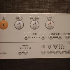 Отель Tokiwa Ryokan Никко интерьер отеля