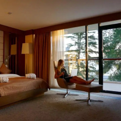 Арфа Парк-отель 5* Номер Делюкс с двуспальной кроватью фото 2