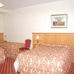Viking Hotel 3* Стандартный номер фото 5