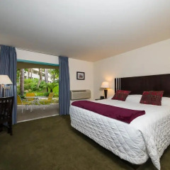 Отель Lemon Tree Inn 3* Стандартный номер с различными типами кроватей фото 4