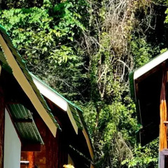 Отель Phi Phi Dusit Bungalow фото 3