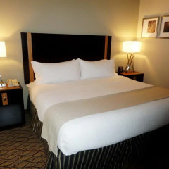 Отель Holiday Inn Effingham 3* Стандартный номер с различными типами кроватей фото 3