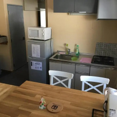 Отель Alpine Chalets Hakuba 3* Стандартный номер фото 4