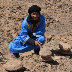 Отель Maroc Galacx Марокко, Уарзазат - отзывы, цены и фото номеров - забронировать отель Maroc Galacx онлайн приотельная территория фото 2