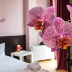 Art Hotel Simona 3* Стандартный номер с разными типами кроватей фото 7