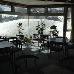 Отель Hakuba Alpine Hotel Япония, Хакуба - отзывы, цены и фото номеров - забронировать отель Hakuba Alpine Hotel онлайн питание фото 2