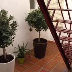 Отель Pension Colonia Испания, Мотрил - отзывы, цены и фото номеров - забронировать отель Pension Colonia онлайн удобства в номере