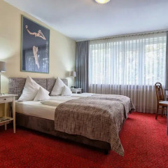 Отель NYMPHENBURG 3* Стандартный номер