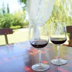 Отель Chaglasian Wine & Suites Сан-Рафаэль фото 11