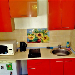 Гостиница Studio Apartment na MOPRA 2 в Иркутске отзывы, цены и фото номеров - забронировать гостиницу Studio Apartment na MOPRA 2 онлайн Иркутск в номере