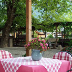 Отель Gasthof Eggwirt Монклассико помещение для мероприятий