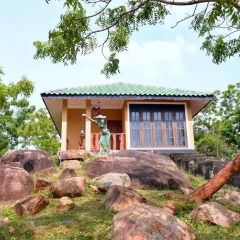 Отель Kodigahawewa Forest Resort 3* Стандартный номер с различными типами кроватей фото 3