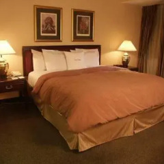 Отель DoubleTree Suites by Hilton Columbus 3* Люкс с различными типами кроватей фото 2