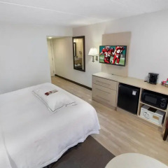 Отель Red Roof Inn PLUS+ Miami Airport 2* Стандартный номер с различными типами кроватей фото 3