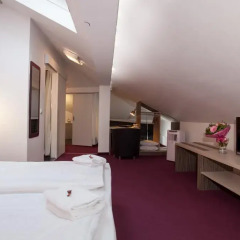 Отель Urban Stay Villa Cicubo Salzburg Австрия, Зальцбург - 3 отзыва об отеле, цены и фото номеров - забронировать отель Urban Stay Villa Cicubo Salzburg онлайн комната для гостей фото 10