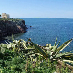 Отель Cinisi 89 B&B Италия, Чинизи - отзывы, цены и фото номеров - забронировать отель Cinisi 89 B&B онлайн пляж
