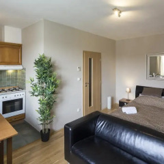Hotel Apartments Wenceslas Square 3* Апартаменты с различными типами кроватей фото 23