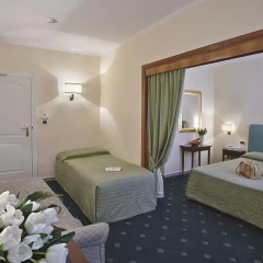 Napoleon Hotel 4* Улучшенный номер с различными типами кроватей фото 3