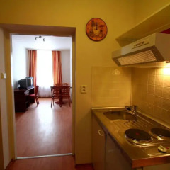 Отель Aparthotel Susa в номере фото 2