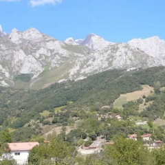 Отель Apartamentos Rurales Los Picos de Redo Испания, Камалено - отзывы, цены и фото номеров - забронировать отель Apartamentos Rurales Los Picos de Redo онлайн фото 5