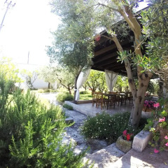 Отель B&B Li Ccoti Италия, Канноле - отзывы, цены и фото номеров - забронировать отель B&B Li Ccoti онлайн фото 5