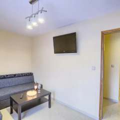 Отель Apartamenty i Pokoje w Willi na Ubocy Люкс повышенной комфортности фото 9