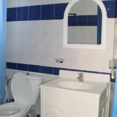 Отель Roula Villa 2* Стандартный номер с различными типами кроватей фото 11