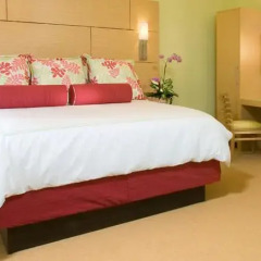 Daddy O Hotel - Bay Harbor 4* Стандартный номер с различными типами кроватей фото 8
