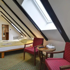 Hotel Svornost 3* Номер категории Эконом с различными типами кроватей фото 3