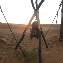 Отель Camp Zagora Марокко, Загора - отзывы, цены и фото номеров - забронировать отель Camp Zagora онлайн приотельная территория фото 2
