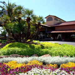 Отель Alexis Park All Suite Resort 3* Номер Делюкс с различными типами кроватей фото 3