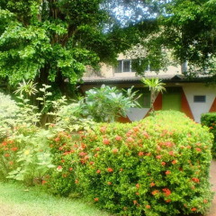 Отель Green Garden Guest House Шри-Ланка, Берувела - 1 отзыв об отеле, цены и фото номеров - забронировать отель Green Garden Guest House онлайн фото 2