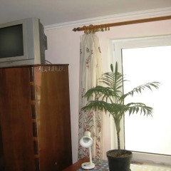 Golden Beach Hostel Кровать в общем номере фото 2